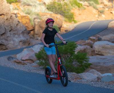 BAKCOU Badger Electric Scooter With Disc Brakes