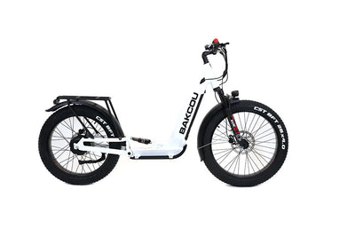 BAKCOU Grizzly Built With a Full Suspension Electric Scooter