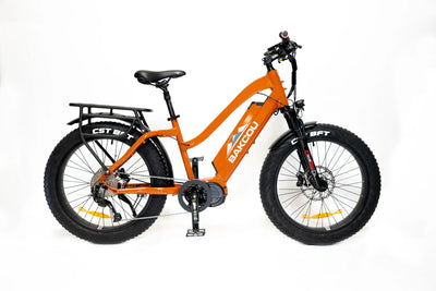 BAKCOU Mule Step-Through 24" 1500W Electric Bike