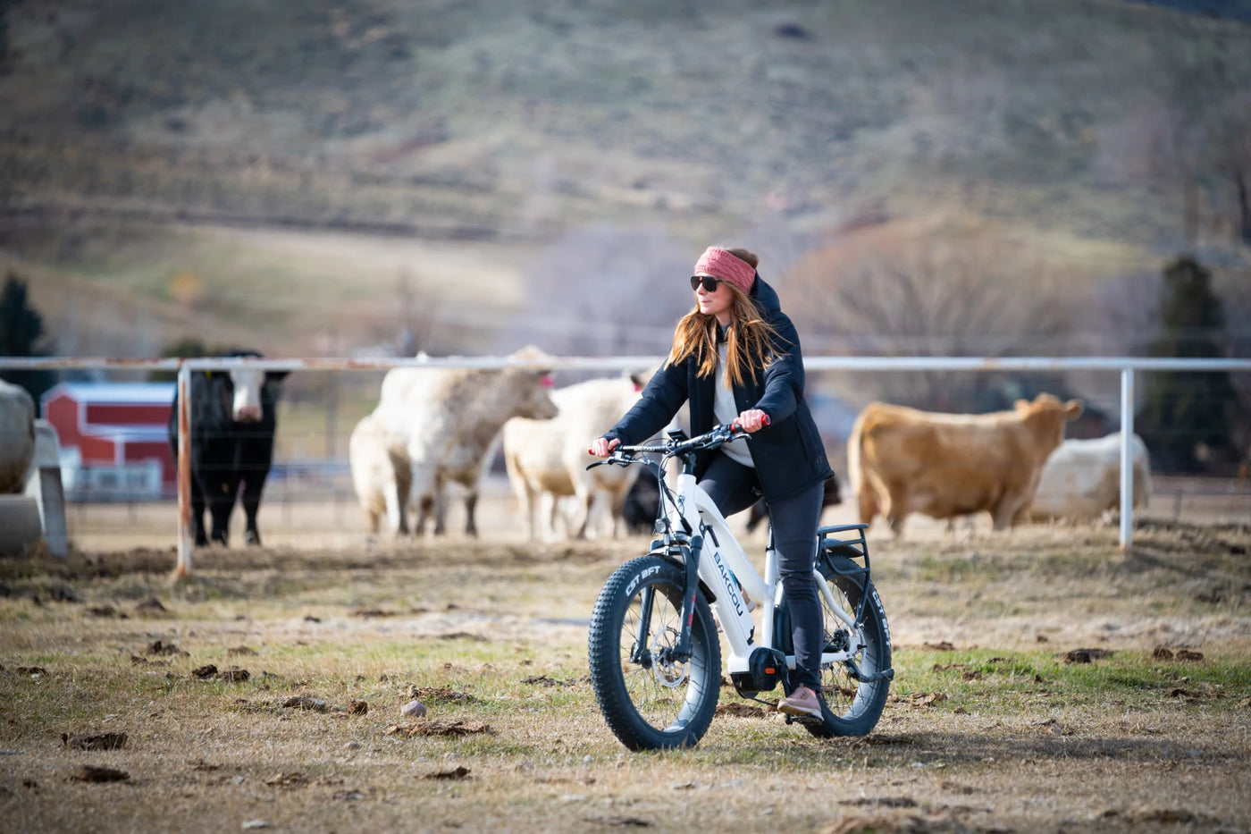 BAKCOU Mule Step-Through 24" 1500W Electric Bike