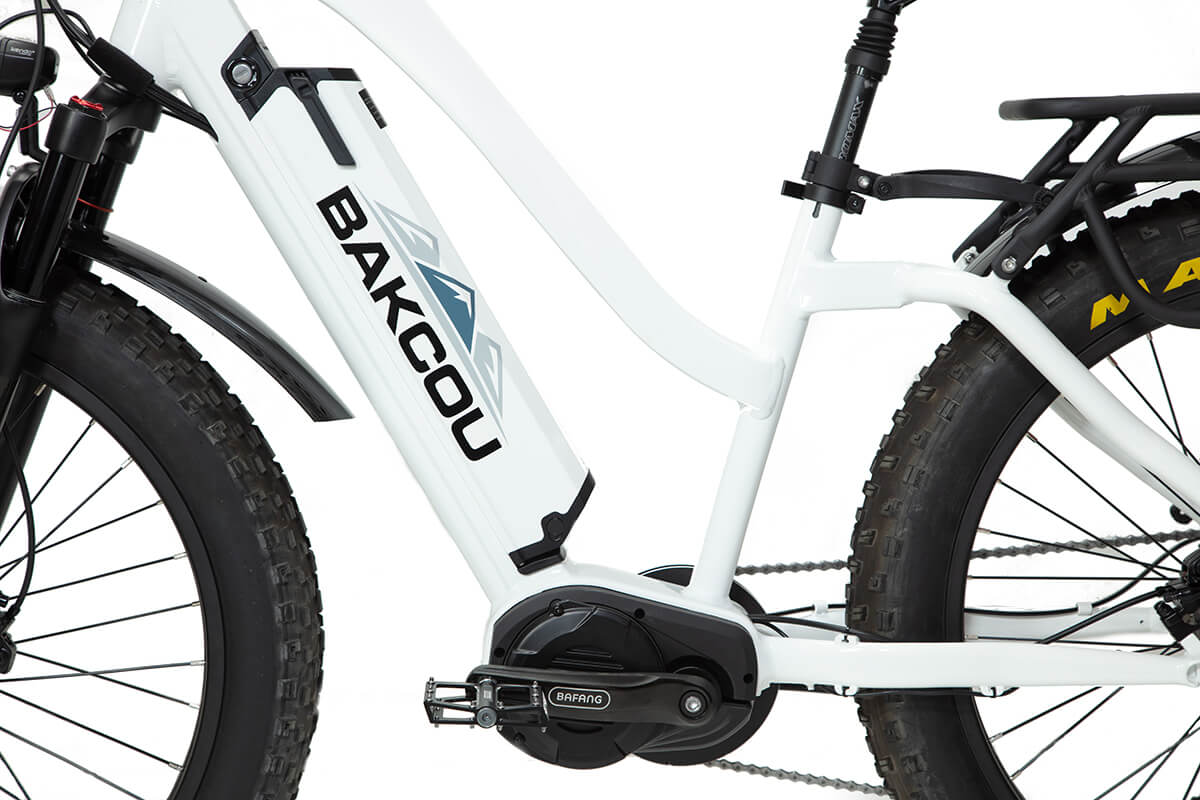 BAKCOU Mule Step-Through 24" 1500W Electric Bike