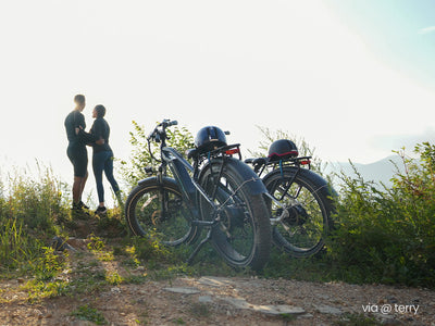 MAGICYCLE Ocelot Pro Long Range Step Thru Fat Tire - Electric Bike