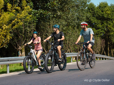 MAGICYCLE Ocelot Step Thru Fat Tire - Electric Bike